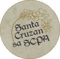Fndf2023 Sticker by SCPA