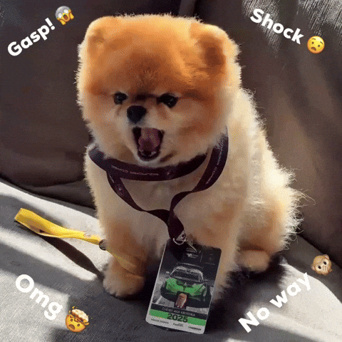No Way Omg GIF