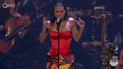 Pop Musica GIF by PBS