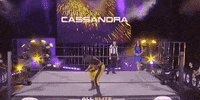 Aew On Tnt Suplex GIF by All Elite Wrestling on TNT