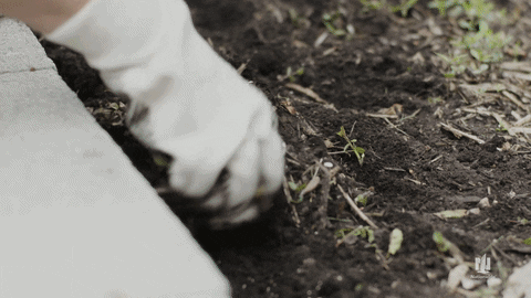 GIF by Nationwide