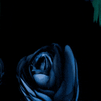 Russian GIF by TeaCosyFolk