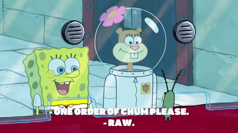 episode 1 GIF by SpongeBob SquarePants