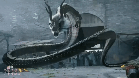 fei long dragon GIF