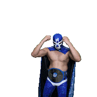 maskadorestacoshopaz wrestling wrestler lucha lucha libre Sticker