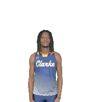 Clarke Athletics Sticker by Clarke University