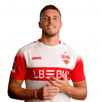 My Bad Im Sorry GIF by VfB Stuttgart 1893