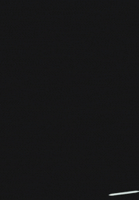 Independence Day Celebration GIF by GT8Studios