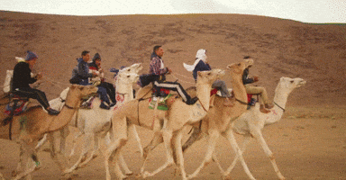 djsnake happy party dancing celebration GIF