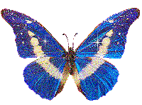 Picture Glitter Sticker