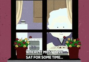 flower window GIF by South Park 