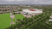 football fun GIF by Bundesliga