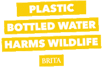 Water College Sticker by brita
