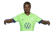 Komm Schon Hurry Up Sticker by VfL Wolfsburg