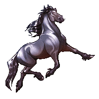 thais-illustration animation stickers horse cheval Sticker