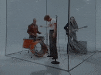 Butterfly Dreamland GIF by COIN