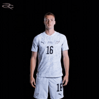 New Zealand GIF by Respective