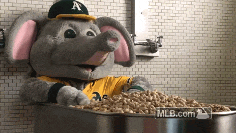 Bath Peanut GIF by MLB