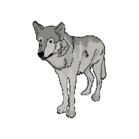 LiveArtProject gray 動物 あにまる オオカミ Sticker