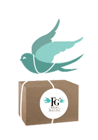 Wings Flying Sticker by fgwalet