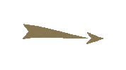 Arrows Phibrows Sticker by officialphishop