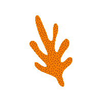 Sticker Orange Sticker