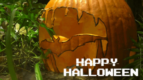 BrookfieldZoo giphygifmaker halloween spooky pumpkin GIF