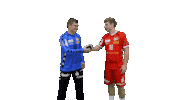 Handball Teammates Sticker by TUSEM Essen