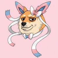 Shiba Inu Dog GIF by Doge Pound