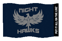 sltc99 flag lineman linemen sltc Sticker