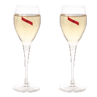 celebration Sticker by Maison Mumm