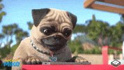 boomerangtoons happy funny fun cute GIF