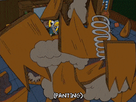 homer simpson GIF