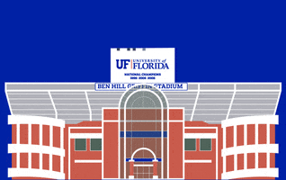 Game Day Football GIF by University of Florida