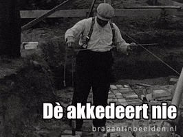 Brabant Klussen GIF by BrabantinBeelden