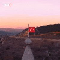 Turkey Turkish GIF by TRT
