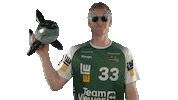 Handball-Bundesliga Handball Sticker by LIQUI MOLY HBL