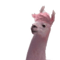 dance lol Sticker by Jules Mumm