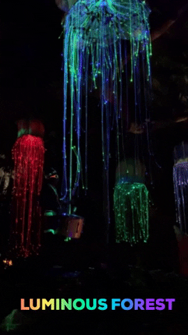 rawlinsglam giphygifmaker GIF