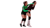 Team Love Sticker by Volleyball Federation of Podolsk