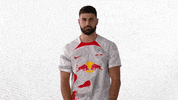 Football Soccer GIF by RB Leipzig