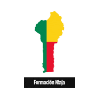 Flag Bandera Sticker by Formación Ninja