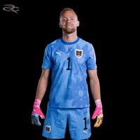 Fifa World Cup Austria GIF by Respective