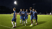 Usl2 Lbfc GIF by Lionsbridge FC