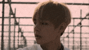 Bangtan GIF by BTS