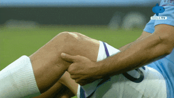 Premier League England GIF by MolaTV