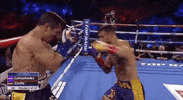 toprank fight boxing fighting champion GIF