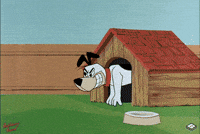 huckleberry hound boomerang GIF