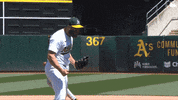 Celebrating Lets Go GIF by Oakland Athletics
