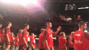 fcbb bayern basketball GIF